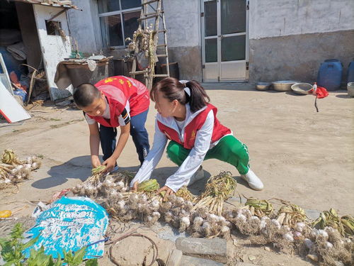 東營市新時代文明實踐志愿服務(wù)網(wǎng) 數(shù)字化平臺賦能志愿服務(wù)新篇章